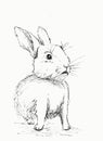 Hand drawn illustration of a rabbit