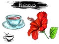 Hand drawn illustration set of color hibiscus flowers, tea cup. sketch. Vector eps 8 Royalty Free Stock Photo