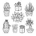 Hand drawn illustration - Set of cute cactus and succulents.