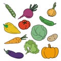 Hand drawn illustration of set vegetables on white background Royalty Free Stock Photo