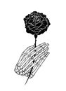 Hand Drawn Illustration of Skeleton Hand Holding a Rose Royalty Free Stock Photo