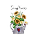 Hand drawn illustration - sunflower bouquet inside watering metal can