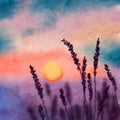 Hand drawn illustration of sunset sunrise in blue orange sky purple grass plants. Night scene landscape, oil painting Royalty Free Stock Photo