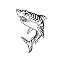 Hand drawn illustration of a tiger shark outline Royalty Free Stock Photo