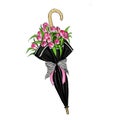 Hand drawn Illustration of Tulips inside Black Umbrella - Illustration