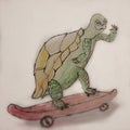 turtle on a skateboard