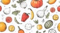 Hand-Drawn Illustration of Various Fruits and Vegetables on a White Background Royalty Free Stock Photo
