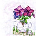 Teapot watercolor. Hand drawn illustration