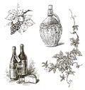 Hand drawn illustration of wicker wine bottle with handle, bottles of wine, wine glass, cheese piece, grapevine branch with leaves Royalty Free Stock Photo