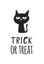 Hand drawn illustration Witch Black Cat and Quote. Creative ink art work. Actual drawing. Artistic isolated Halloween Chara