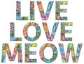 Live love meow- Cat t-shirt design, Hand drawn lettering phrase