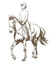 Hand drawn illustration of horse rider woman performing equine training, horse riding, horse stallion with jockey drawing