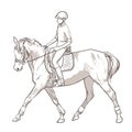 Hand drawn illustration of young woman horse rider performing equine training, sport horse riding, vector illustration