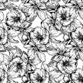 Hand-drawn illustrations. Black and white flowers and poppies. Seamless pattern. Royalty Free Stock Photo