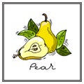 Hand-drawn illustrations. Card with fruits, pears. Colorful postcard.