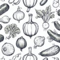 Hand-drawn illustrations of various vegetables on a white background Royalty Free Stock Photo