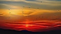 Birds fly to the sunset in the mountains - Art Collection