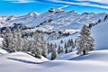 Clear weather, snow-covered forest, thick layer of snow, winter landscape - Art Collection