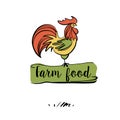 Hand drawn image with color rooster. Concept design for eco farm food