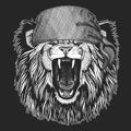 Wild lion Cool pirate, seaman, seawolf, sailor, biker animal for tattoo, t-shirt, emblem, badge, logo, patch. Image with