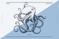 Hand-drawn image of an octopus on a light background. Ocean animal. Royalty Free Stock Photo