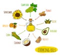 Hand drawn infographic of cooking oil sorts Royalty Free Stock Photo