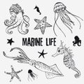 Set of linear marine life in the sketch style octopus, jellyfish, two starfish, seahorse, squid Royalty Free Stock Photo