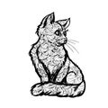 Hand drawn ink dodle cat on white background. design for adults, poster, print, t-shirt, invitation, banners, flyers Royalty Free Stock Photo