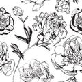 Hand drawn ink asian peonies monochrome Royalty Free Stock Photo