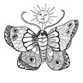 Hand drawn ink illustration. Black and white Night moth, sacred solar signs, ornament