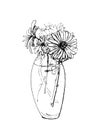 Hand drawn ink sketch of bunch of flowers in the vase. Pen drawing of bouquet