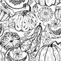 Hand drawn ink vector pumpkin gourd squash, flowers and vine. Sketch illustration art for Thanksgiving, harvest, farming Royalty Free Stock Photo