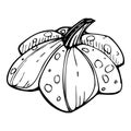 Hand drawn ink vector pumpkin gourd squash. Sketch illustration art for Thanksgiving, Halloween, harvest, farming Royalty Free Stock Photo