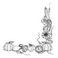 Hand drawn ink vector pumpkin gourd squash. Sketch illustration art for Thanksgiving, Halloween, harvest, farming Royalty Free Stock Photo