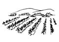 Hand-drawn ink vector simple drawing. Vineyard landscape, rows of grape bushes, perspective, outline of mountains on the horizon.