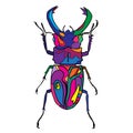 Hand drawn insect vector scribble icon illustration
