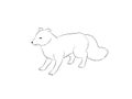 Hand drawn isolated arctic fox silhouette. Outlined for coloring Royalty Free Stock Photo