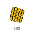 Corn. Vector cartoon illustration. Isolated. Hand-drawn style Royalty Free Stock Photo