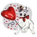 Hand drawn Jack Russel terrier with heart shape baloon. Vector Valentine day greeting card. Cute colorful dog wears