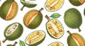 Hand drawn jackfruit pattern Artistic tropical fruit illustration on white background Royalty Free Stock Photo