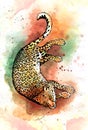 Hand drawn jaguar watercolor drawing