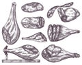 Hand drawn jamon. Gourmet meat collection. Isolated delicious engraving sketch. Dry cured farm natural product. Pork