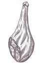 Hand drawn jamon. Gourmet meat. Isolated delicious engraving sketch. Dry cured farm natural product. Pork black and