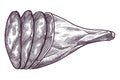 Hand drawn jamon. Gourmet meat. Isolated delicious engraving sketch. Dry cured farm natural product. Pork slices in