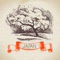 Hand drawn Japanese illustration. Sketch background