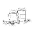 Honey set. Vector illustration Royalty Free Stock Photo