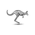 Hand drawn kangaroo logo design inspiration