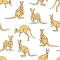Kangaroo. Vector  pattern Royalty Free Stock Photo