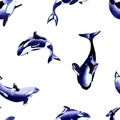 Killer whale seamless pattern. Royalty Free Stock Photo