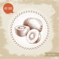 Hand drawn kiwi fruit vector illustration. Royalty Free Stock Photo